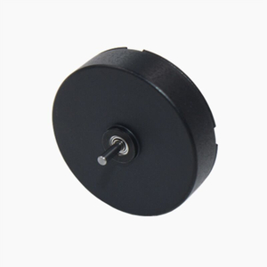 LS-2607R Coreless Brush DC Motor