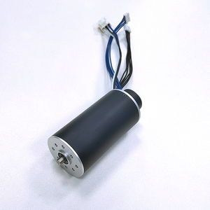 3670EM-Coreless Motor With Built-in Servo Driver