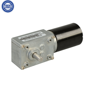 LS-WGM4058-TEC3650 Brushless Dc Worm Gear Motor