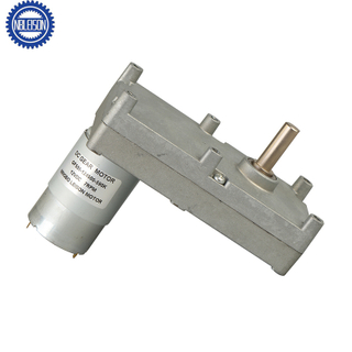 LS-GF555 Dc Gear Motor