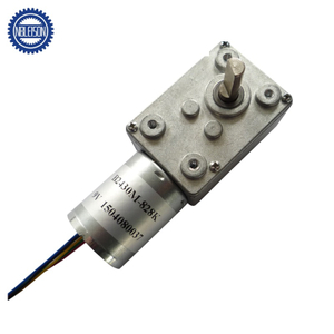 LS-WGM3246-TEC2430 Brushless Dc Worm Gear Motor