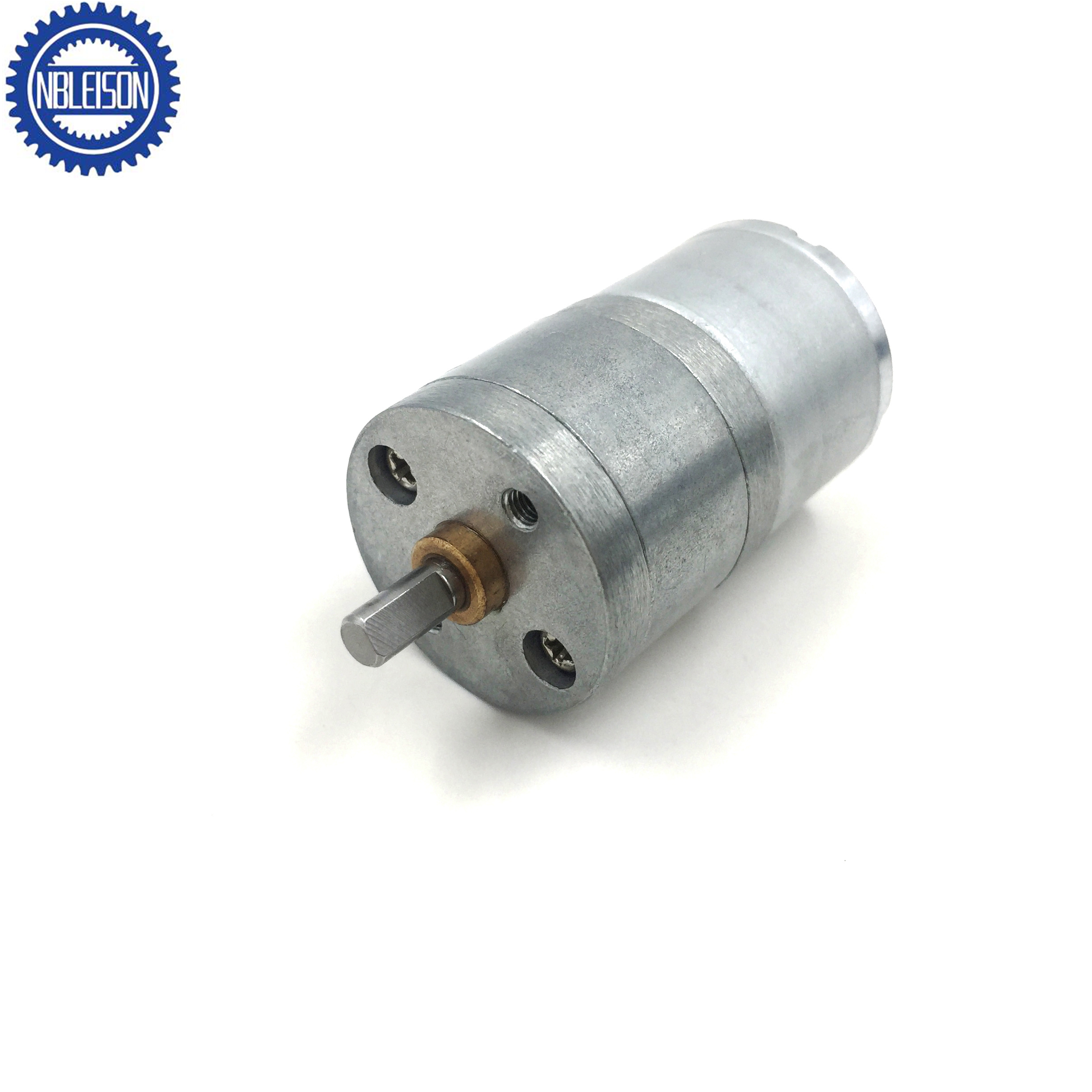 LS-25GA310 Dc Gear Motor